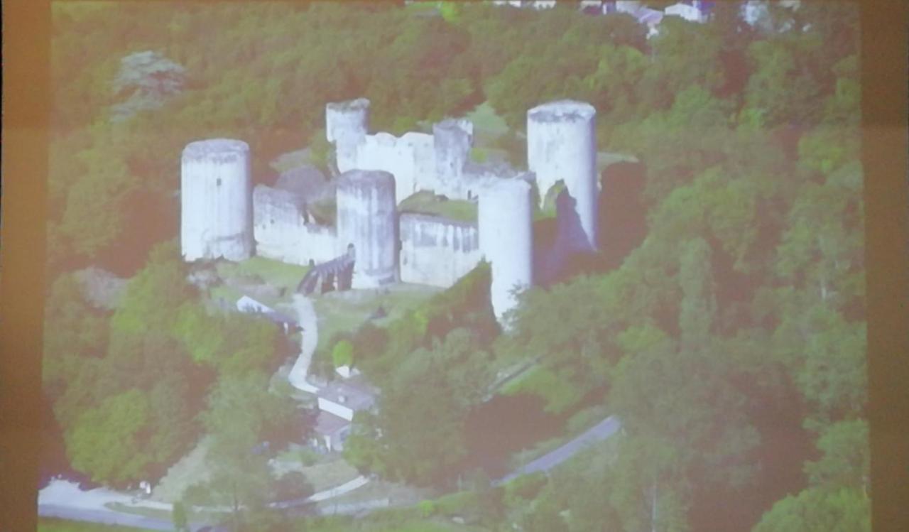 Au Grain D'Orge Villa Echire Exterior photo